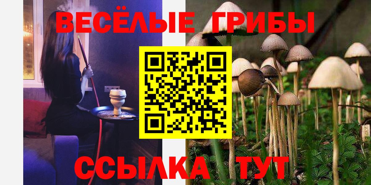 Новый Уренгой  Псилоцибиновые грибы мухоморы  Вход с VPN 